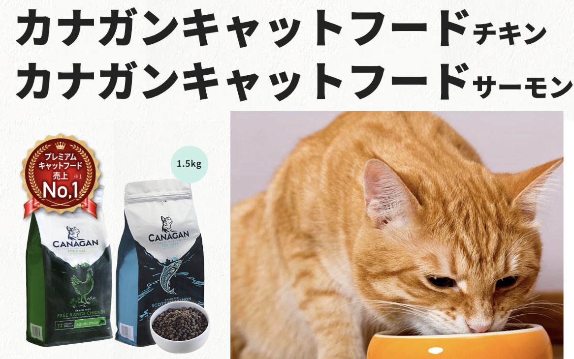 販売割カナガンキャットフード 猫